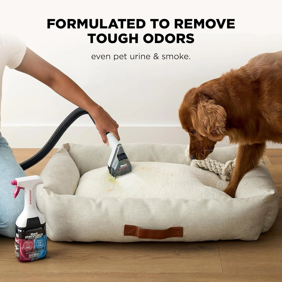 Shark EveryMess 3-in-1 Wet/Dry Vac & Stain Eliminator, 3 Tools VX102BRN