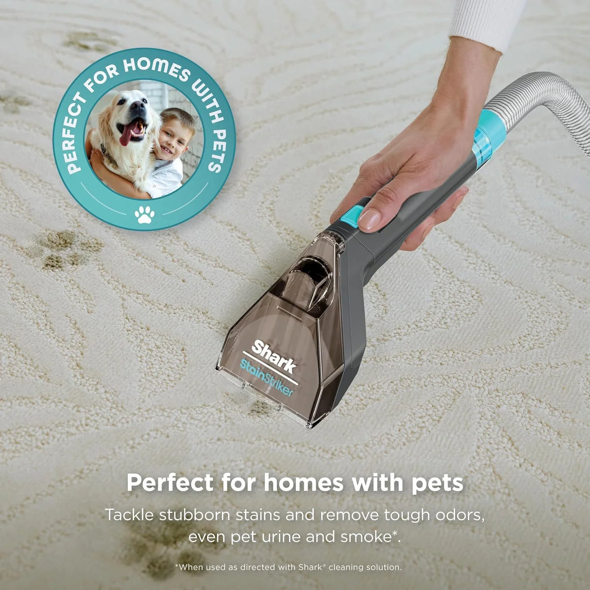 Shark StainStriker Portable Spot & Stain Cleaner, 2 Tools, PX221BRN