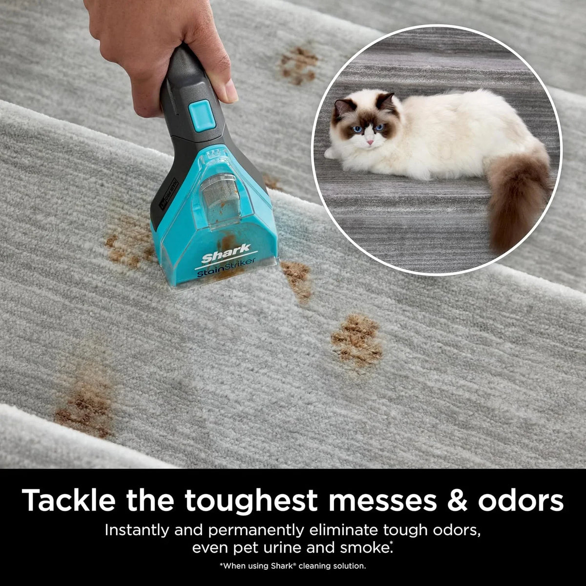 Shark StainStriker OXY Multiplier Formula for Tough Stains/Odor XSKEXOX32B