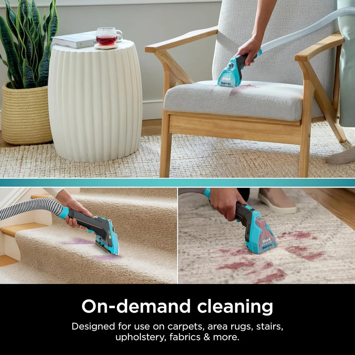 Shark Deep Clean Pet & OXY Formula Bundle for Tough Stains/Odor PXCPBUNDLE
