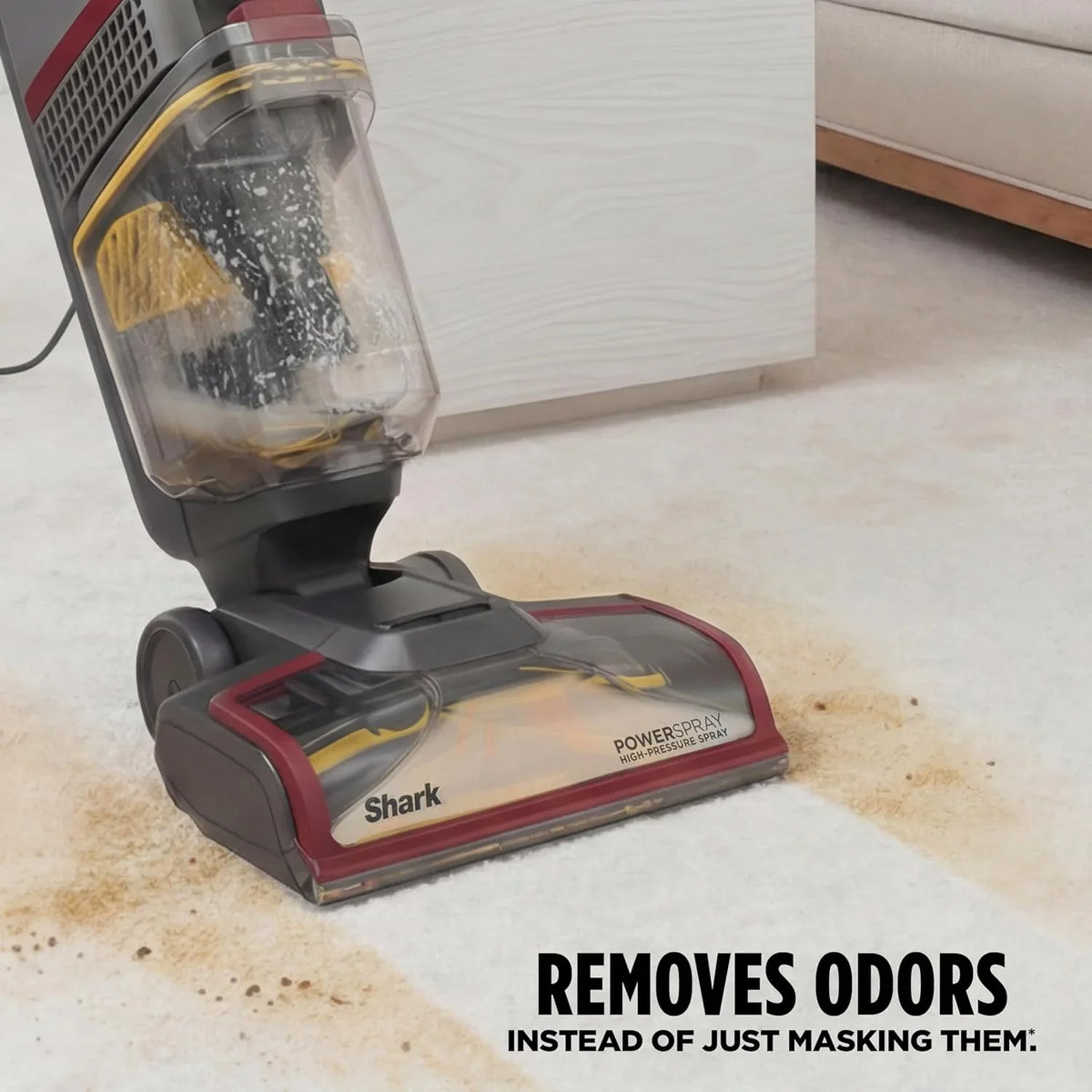 Shark CarpetXpert HairPro, Upright Carpet & Area Rug Cleaner, EX221BRN