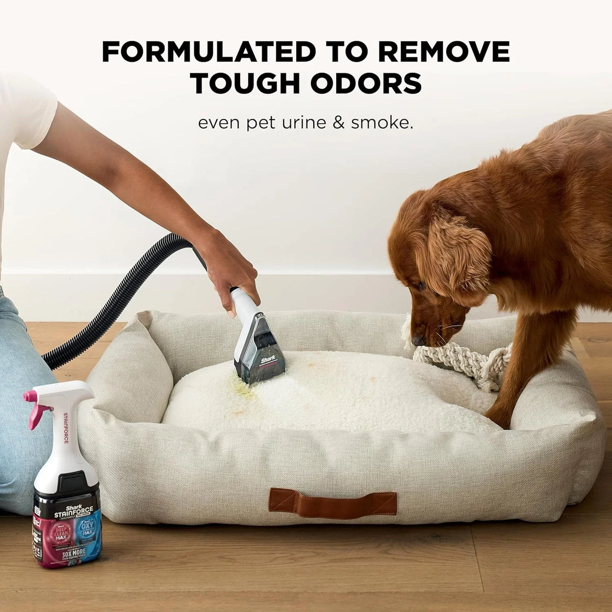 Shark EveryMess 3-in-1 Wet/Dry Vac & Stain Eliminator, 4 Tools VX101